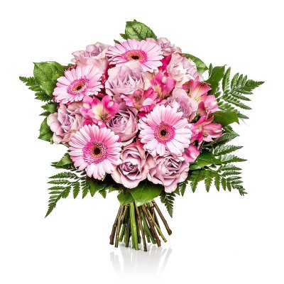 Růžové překvapení Růžové překvapení